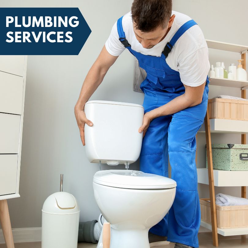 Plumbing Company in Stonefort, IL
